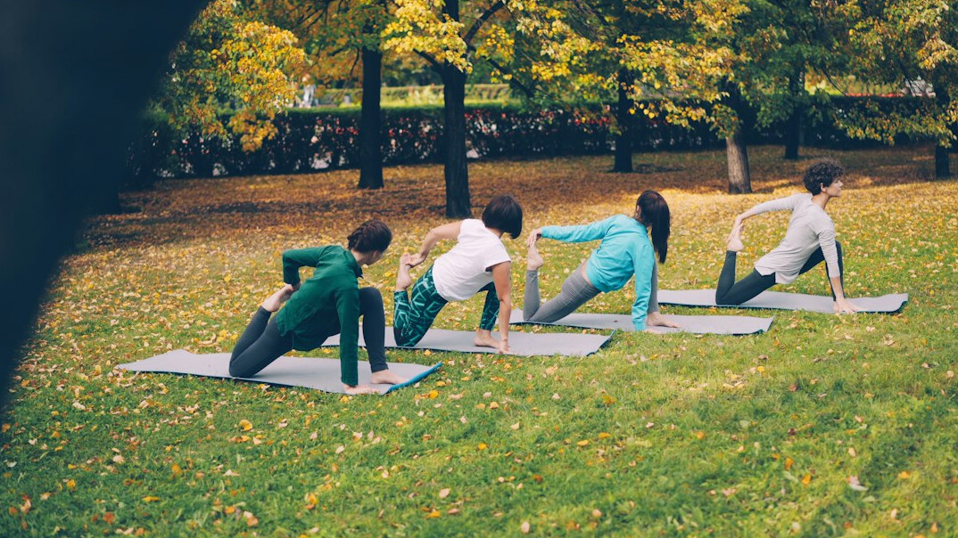Group of people stretching together during an outdoor health and wellness class