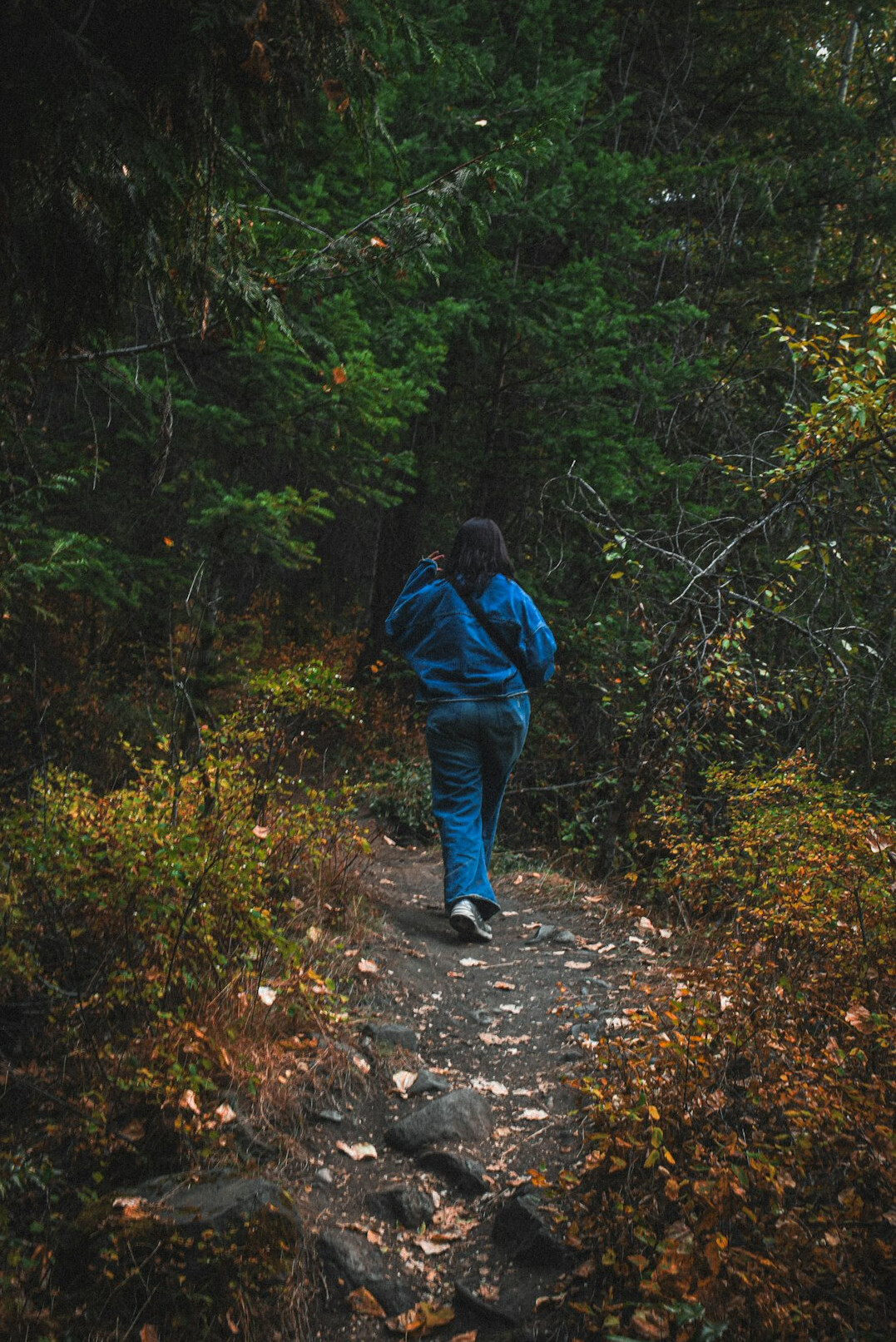 person jogging on trail