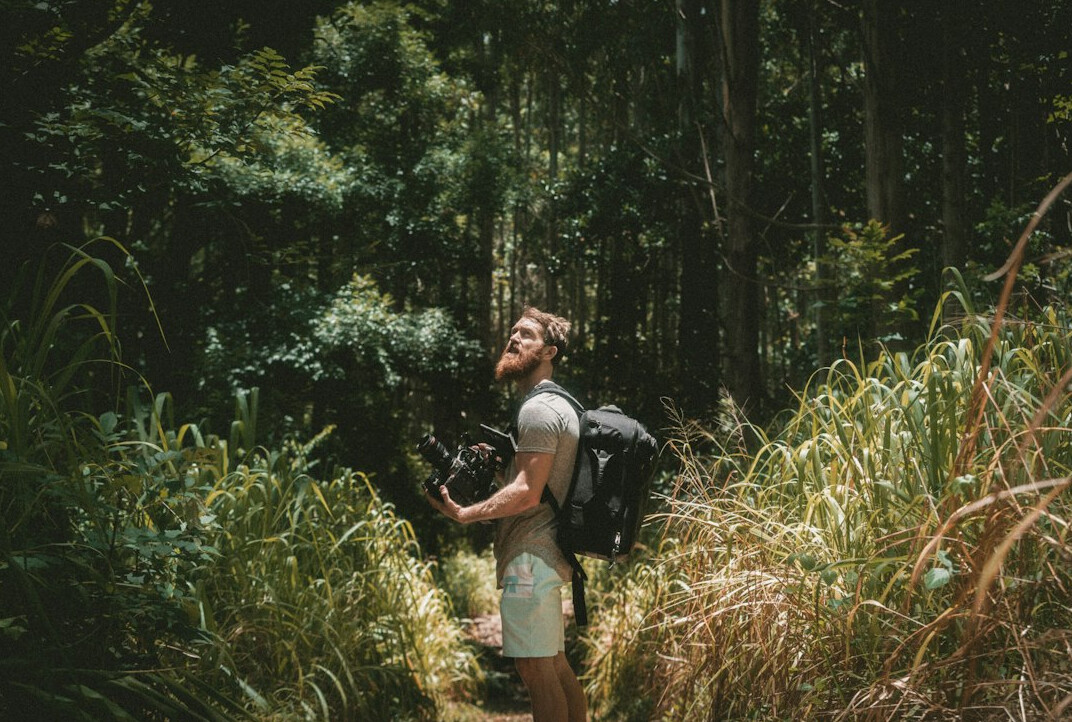 person walking in nature