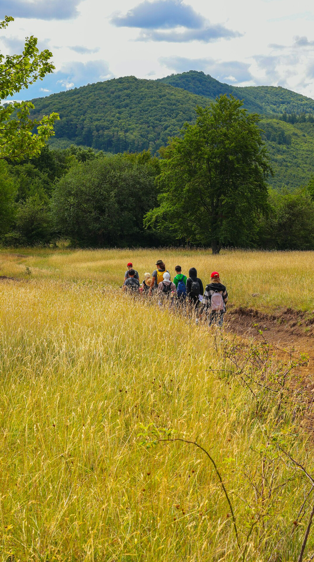 group walking outdoors